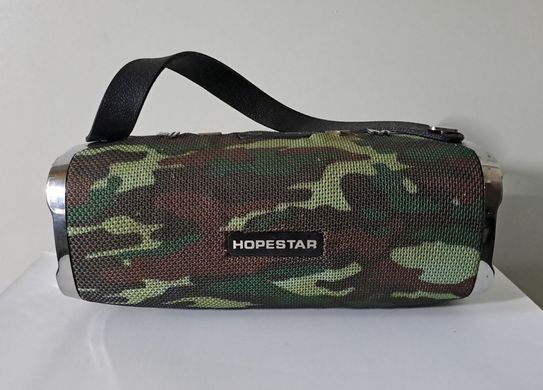 Акустична система (колонки) Hopestar H24