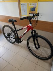 Велосипед Giant ALUXX 6000