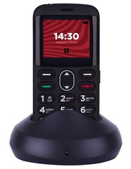 Мобільний телефон ERGO R201 (black)
