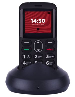 Мобильный телефон ERGO R201 (black)